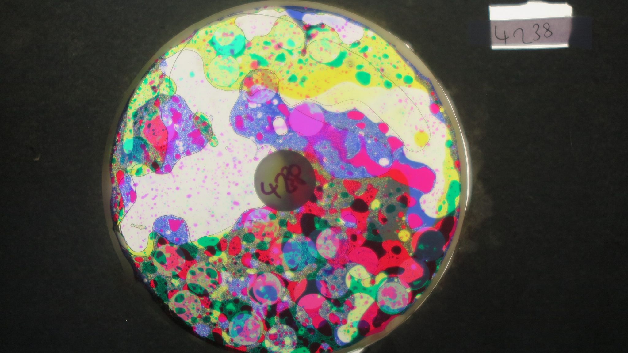 BV4238 bubble vision oil wheel